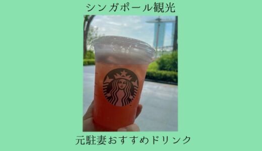 シンガポール観光│これ飲んで！元駐妻おすすめドリンク